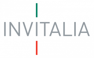 Invitalia-lavora-con-noi