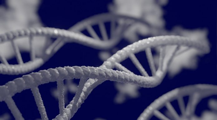 CRISPR