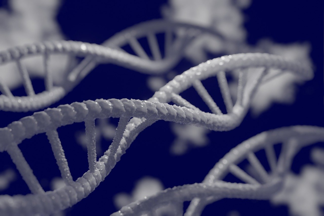 CRISPR: potenzialità e limiti dell’editing del genoma