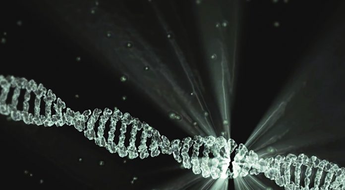 Mutazioni-genetiche