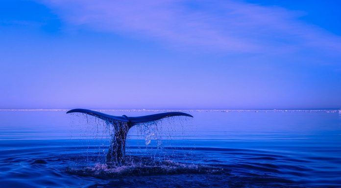 Perchè-il-mare-è-blu