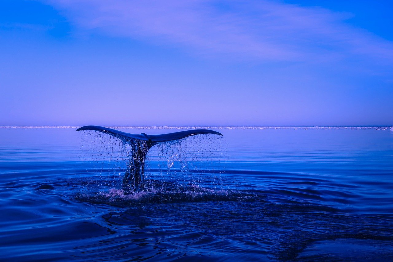 Perchè-il-mare-è-blu