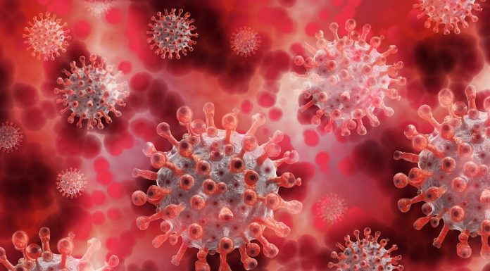 Plasma-iperimmune