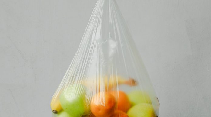 Sacchetti-biodegradabili