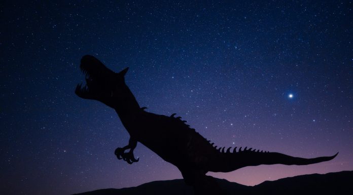 Dinosauri