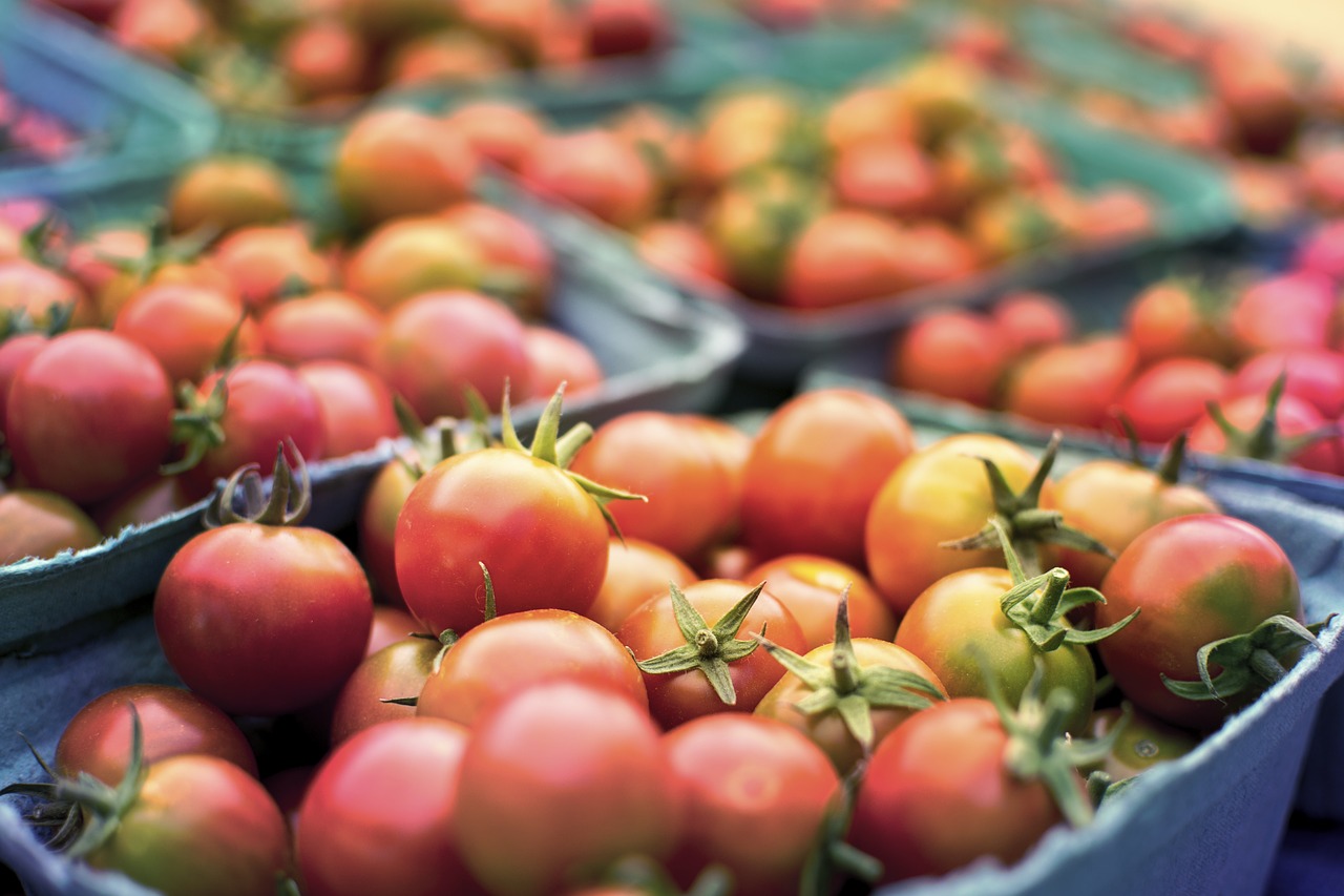 I vantaggi nell’uso di sacchetti ecologici nell’industria alimentare